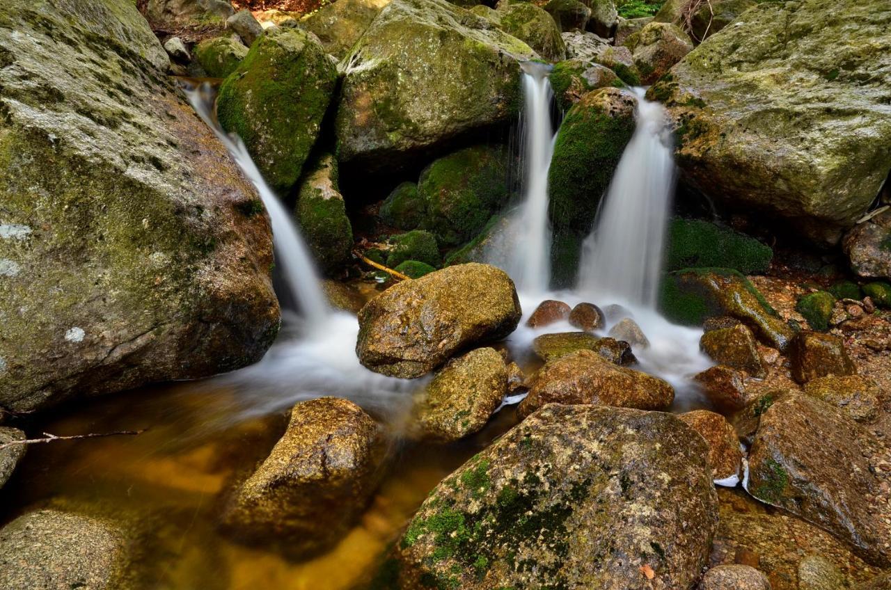 Horska Chata Hubert Bedřichov Exterior foto